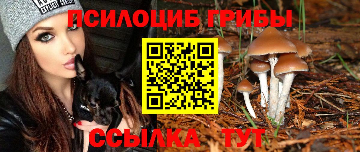 АМФЕТАМИН Коломна