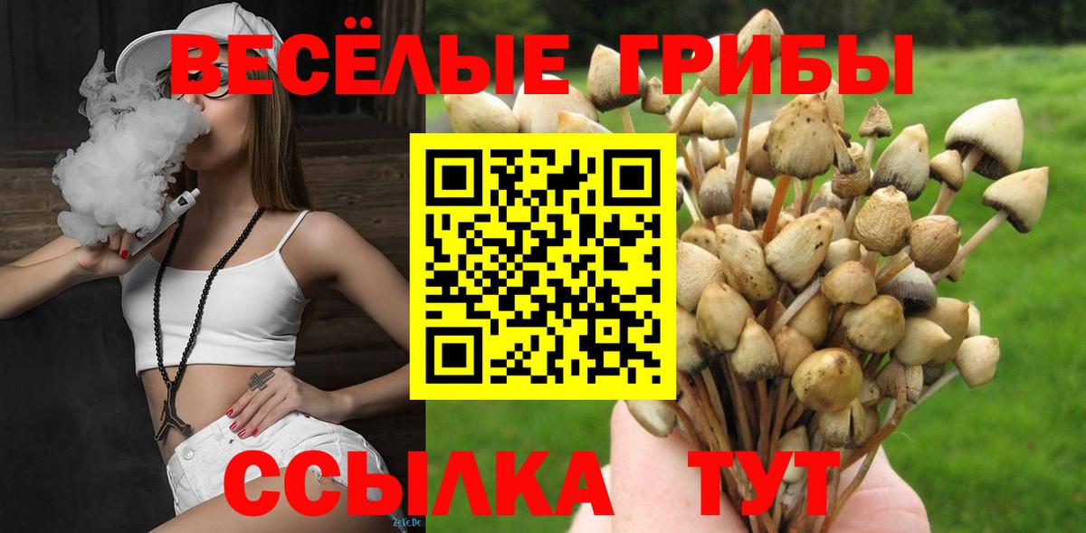 Коломна  Галлюциногенные грибы мицелий  Вход с VPN  Псилоцибиновые грибы Magic Shrooms 